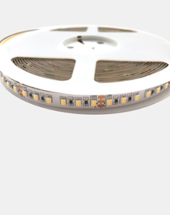 3528 2CIN1 CCT Adjustable led strip