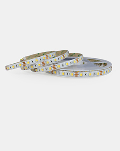 5050 2CIN1 CCT Adjustable led strip