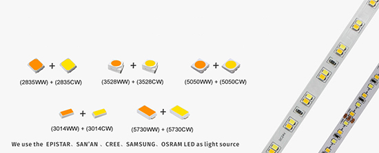 Color Temperature Adjustable Strip Series