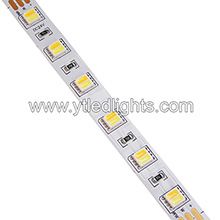 5050 Color Temperature Adjustable LED Strip Lights 60led/m 24V 10mm width 2 chips in one led